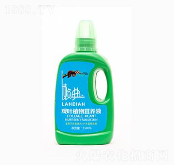 550ml�^�~ֲ��I(y��ng)�B(y��ng)Һ-���r(n��ng)ʢԴ