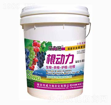 ������-����ʩ