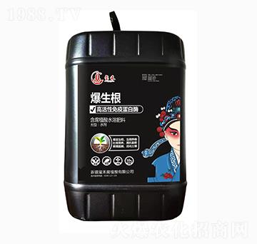 含腐植酸水溶肥料-爆生根-璽禾