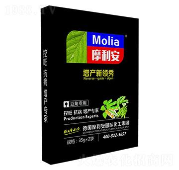 ���ǌ���-Ħ����