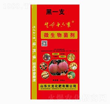 微生物菌劑-大龍化肥