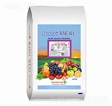大量元素水溶肥料19-19-19+TE+OM-奧馳萊思-若瞳生物