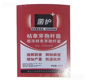 �ݲ�ѿ�ߗU��-���o-����