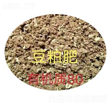 ���ɷ�-�𝙰l(f��)����