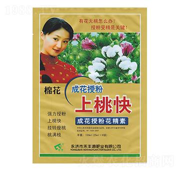 棉花成花授粉上桃快-禾豐源肥業(yè)
