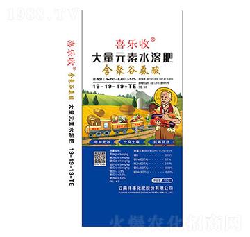 大量元素水溶肥料19-19-19+TE-祥豐