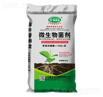 25kg΢�������-ֲ