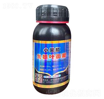 �����~���-С��ƿ-������