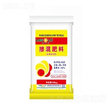 �������24-8-10-�Rķ������