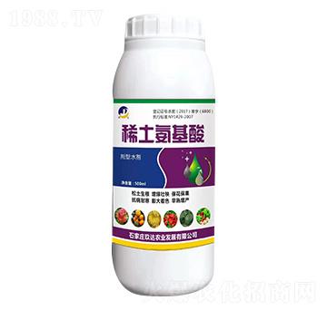 ϡ��������-���_