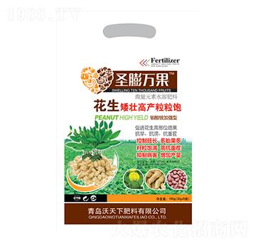 花生矮壯高產(chǎn)粒粒飽-沃天下