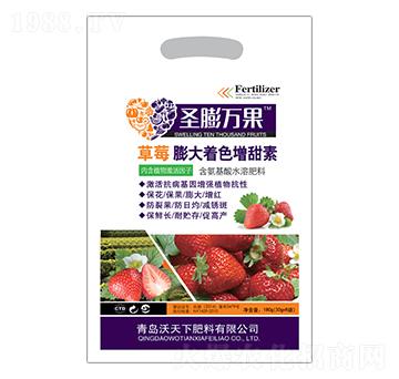 草莓膨大增甜著色素-圣膨萬果-沃天下