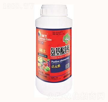 500g氨基酸鈣-康鑫化工