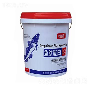 ����ķ���~�ĵ���-��ؐ��