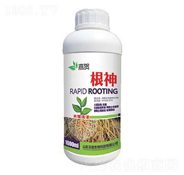 ����-ؐ������