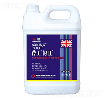 斧王根旺-天宸夢(mèng)