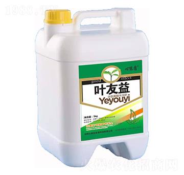 含氨基酸水溶肥  葉友益 中恒化肥