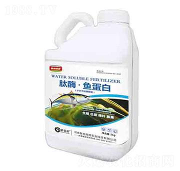 ��ø���~���� ����