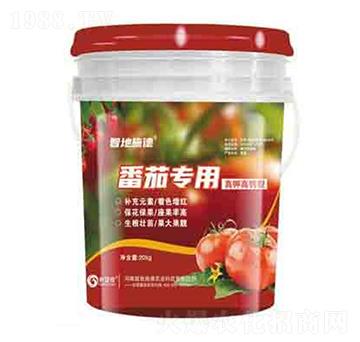 ���ь�(zhu��n)�÷� ��(r��n)��