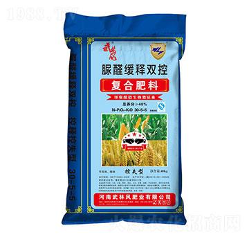 ��ȩ����p�؏ͺϷ���30-5-5-�����L