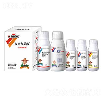 ʮ�����ײ� �Ѻ϶����� �����Ѻ�