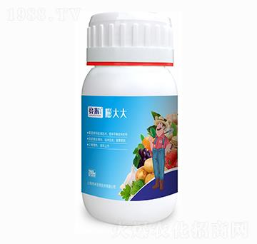 ���� ��������