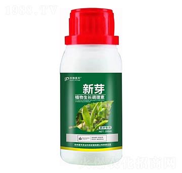 ���~��(zhu��n)��ֲ�����L(zh��ng)�{(di��o)���� ��ѿ �����r(n��ng)�I(y��)