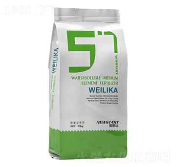 ΢���� �Z˼�_(d��)