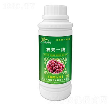 ���ь�(zhu��n)���~��� �r(n��ng)��һ�� ���ݾG