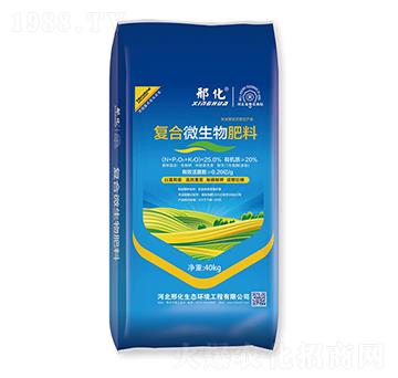 �ͺ�΢������� �ϻ�