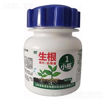 綠葉抗根腐 生根 綠嘉源