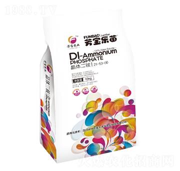 ���w���@21-53-11 �������� ��󷼌�