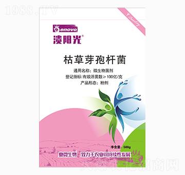 枯草芽孢桿菌-潰陽(yáng)光-鼎微生物