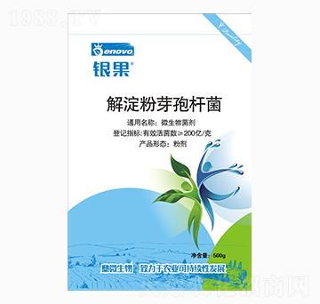 解淀粉芽孢桿菌-銀果-鼎微生物