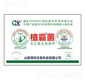 復合微生物菌種-植霸菌-博祥生物