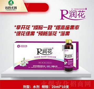 ����-�л������������������A���仨��-������ķ