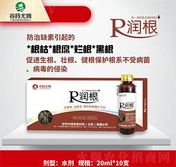 ����-�����������������A����ϵ�����ɿ�-������ķ