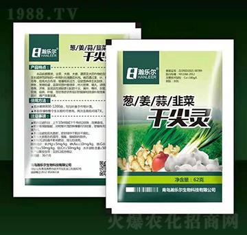 蔥姜蒜韭菜干尖靈-瀚樂爾