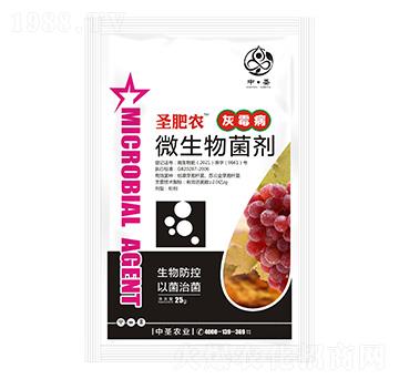灰霉病專用微生物菌劑-圣肥農(nóng)-中圣農(nóng)業(yè)