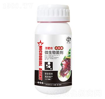 瓶裝白粉病專用微生物菌劑-圣肥農(nóng)-中圣農(nóng)業(yè)