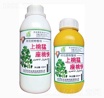 上桃猛座桃快-華杰生物