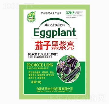 茄子黑紫亮-華杰生物