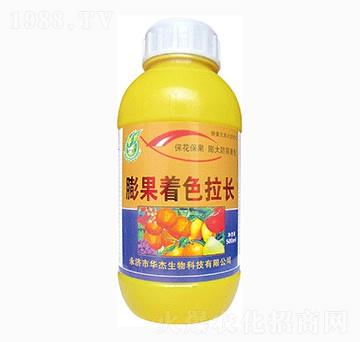 膨果著色拉長(zhǎng)-華杰生物