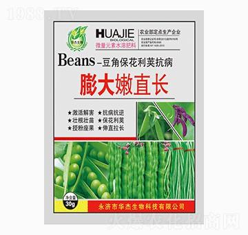 膨大嫩直長(zhǎng)-華杰生物