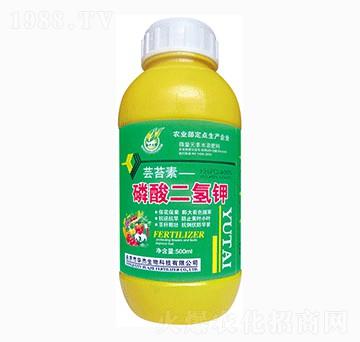 500ml磷酸二氫鉀-華杰生物