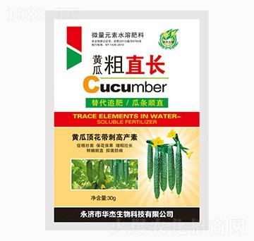 黃瓜粗直長(zhǎng)-華杰生物