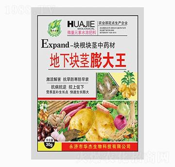 地下塊莖膨大王-華杰生物