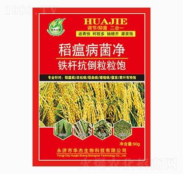 稻瘟病菌凈-華杰生物