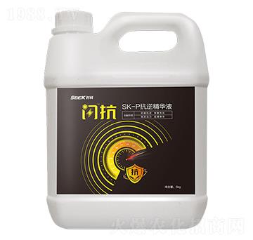 SK-P���澫�AҺ-�W��-�r��