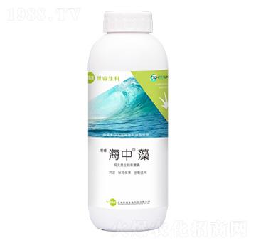海藻有機(jī)水溶肥料-海中-世睿生物